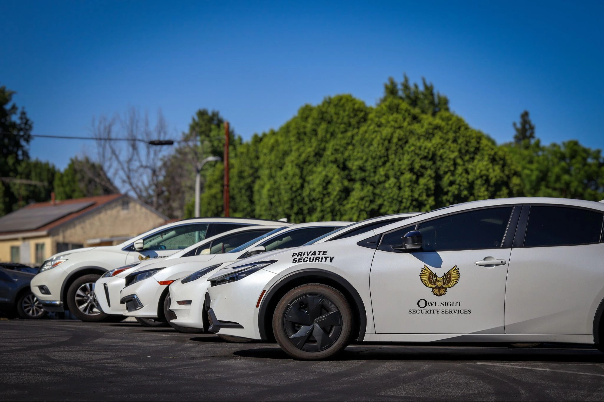 car line up of security patrol vehicles