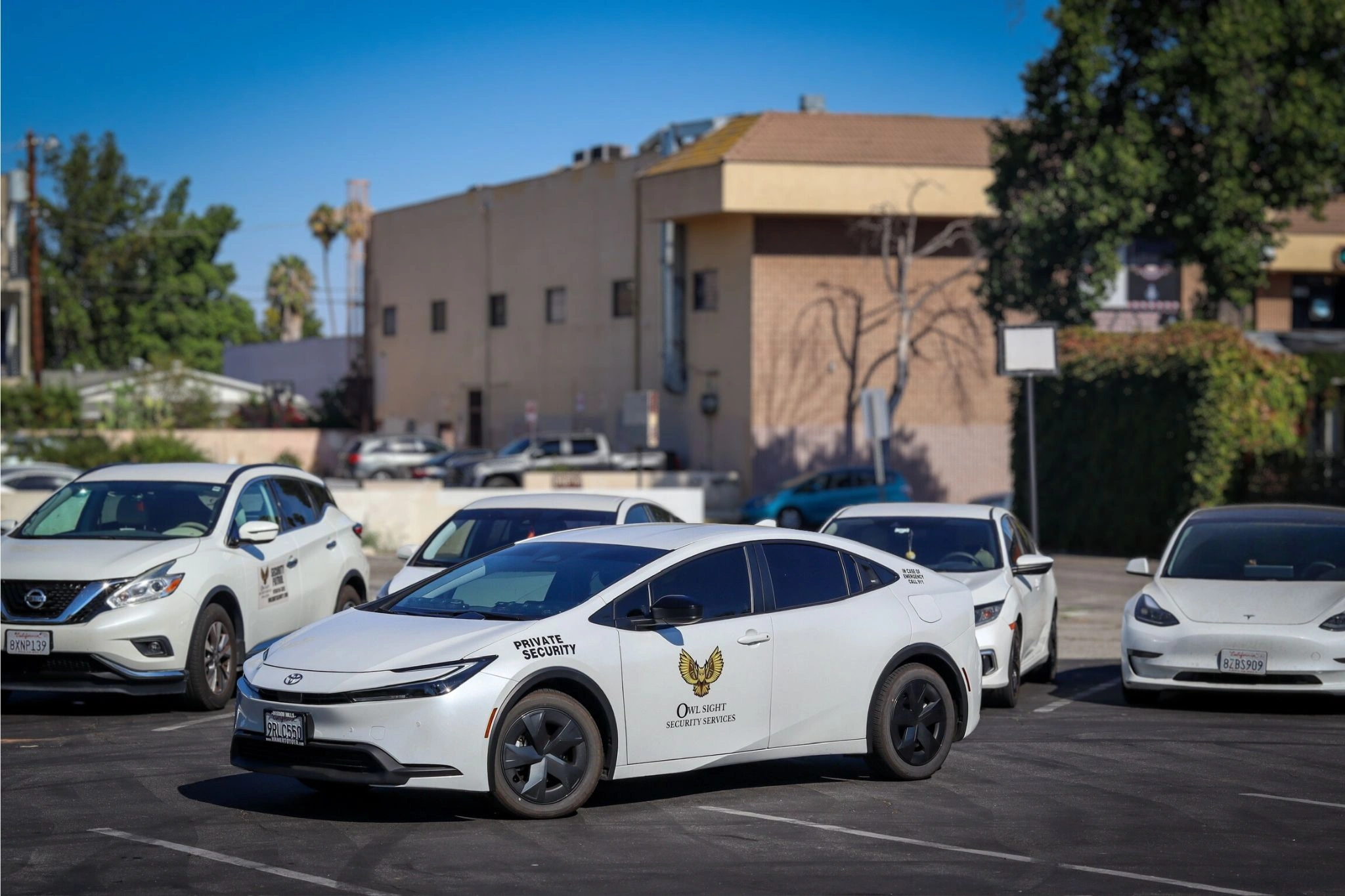 a car line of up patrol vehicles