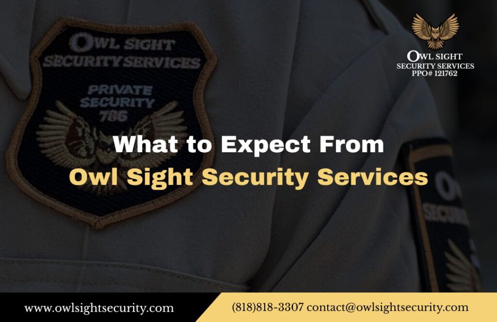 What to Expect From Owl Sight Security Services